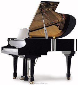 SAMICK SIG54D EBHP рояль акустический, цвет черный - фото 17802