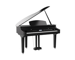 Orla Grand 500 Цифровой рояль, с автоаккомпанементом, черный - фото 27566