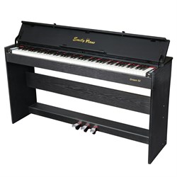 EMILY PIANO D-52 BK — цифровое фортепиано со стойкой в комплекте, черное, Эмили Пиано