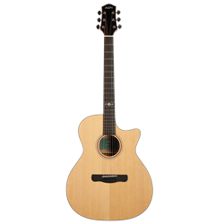 Aion X10M акустическая гитара