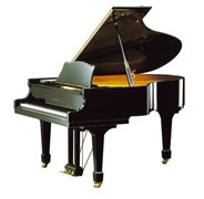 SAMICK NSG175D/EBHP рояль акустический, цвет черный