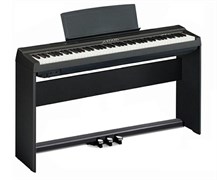 Antares D-300 цифровое фортепиано со стойкой, Антарес