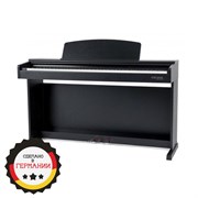 GEWA DIGITAL-PIANO DP300 BLACK — цифровое фортепиано, производство — Германия