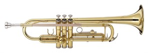 J. MICHAEL TR-380 — труба Bb