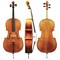 Gewa Concert Cello Georg Walther 4/4  виолончель мастеровая концертная 4/4 - фото 24049