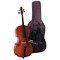 GEWAPure Cello Outfit EW 4/4 виолончельный комплект - фото 24055