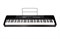 Ringway RP-25 Цифровое фортепиано - фото 25242