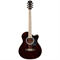 Shinobi HB403A/TDR гитара акустическая, Шиноби