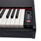 ROCKDALE Keys RDP-1088 — портативное цифровое фортепиано, Рокдэйл (блок управления) ROCKDALE Keys RDP-1088 — портативное цифровое фортепиано, Рокдэйл (блок управления)