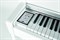 GEWA DIGITAL-PIANO DP300 WHITE — цифровое фортепиано, производство — Германия