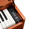 EMILY PIANO D-52 BR — цифровое фортепиано со стойкой в комплекте, коричневое, Эмили Пиано
