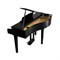 KAWAI DG30 EP — цифровой рояль, Каваи
