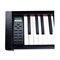 Sai Piano P-110BK — цифровое фортепиано, черное, Сай Пиано