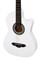 Stairtone A-38C WH — гитара акустическая