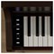 Casio Celviano AP-300BN - цифровое фортепиано (базовая комплектация)