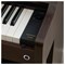 Casio Celviano AP-300BN - цифровое фортепиано (базовая комплектация)