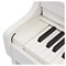 Casio Celviano AP-300WE - цифровое фортепиано (базовая комплектация)