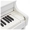 Casio Celviano AP-300WE - цифровое фортепиано (базовая комплектация)